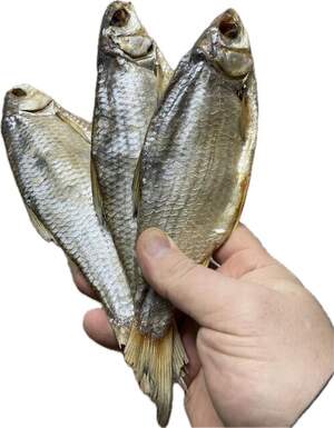 Вобла вʼялена з ікрою