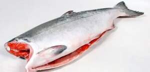 Форель з/м Форель з/м