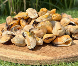 Мідії 100+ С/М преміум