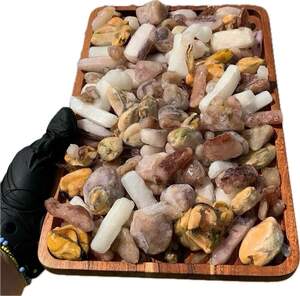 Морський коктейль