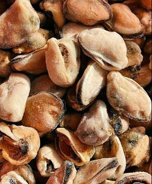 Мʼясо мідії свіжоморожене 100/200