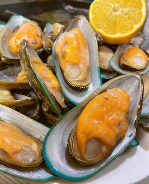 Гігантська мідія КІВІ Новозеландська