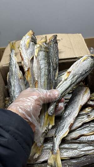 В’ялена корюшка зубарь з ікрою ПРЕМІУМ